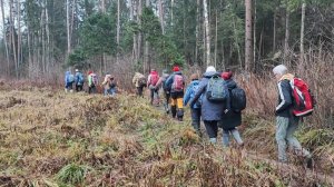 ПВД Мамонтовская - Клязьма