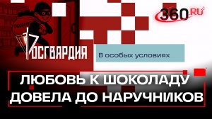 Операция «Шоколад»: дерзкое ограбление в Москве. Росгвардия. В особых условиях