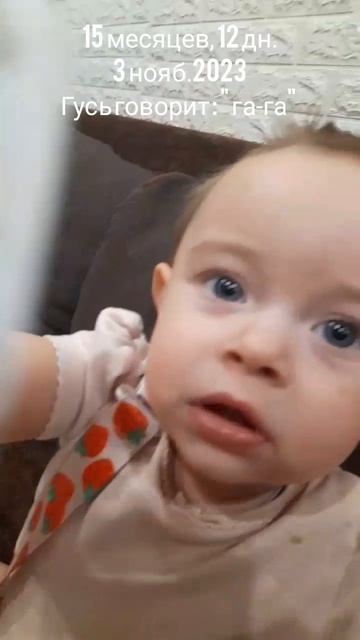 15 мес.,12 дн.Гусь говорит 'га-га'.(3 нояб.2023).mp4