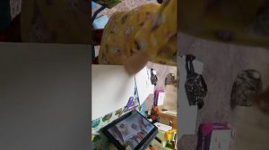 мир бумажной косметики