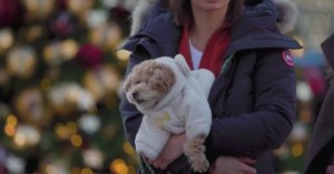 Лондонский уличный стиль зимней моды 2025 вдохновленный Ральфом Лореном