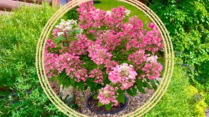 "Каторга 2.0". Кардинальная переделка западной рабатки.