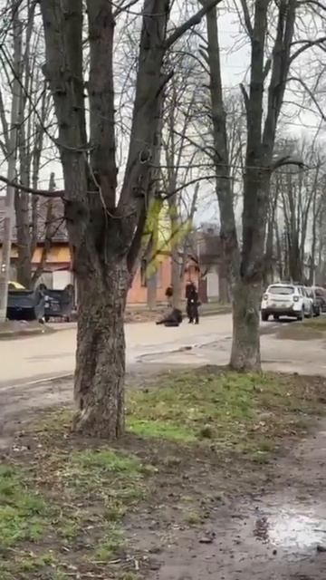 Обычный день вна