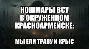 От надежд до реальности: три месяца боевых действий глазами рядовых солдат | Крамаровский