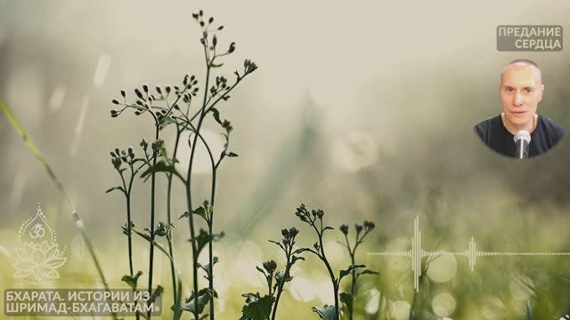 Истории из «Шримад-Бхагаватам», Бхарата. Предание сердца. Сиддханта