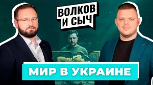Волков и Сыч в прямом эфире: что ждёт мирный план Трампа и какую роль сыграет Беларусь?