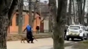 В Полтаве питбуль защитил украинца от двух ПОЛИЦАЕВ
