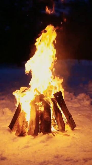 Звуки костра - шум треска дров, звуки природы, звуки костра в лесу, ночной костёр, костер #shorts смотреть онлайн