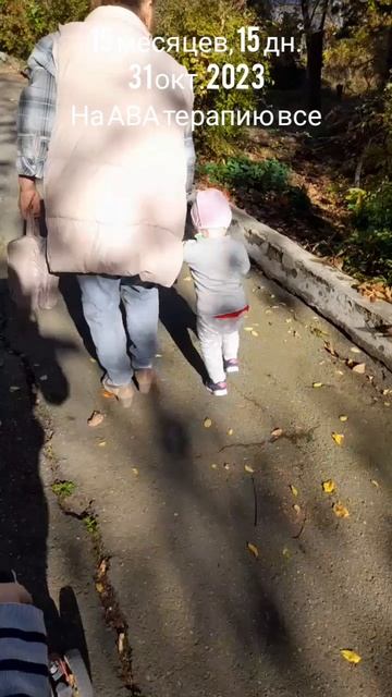 15 мес.,15 дн.На АВА терапию.(31 окт.2023).mp4