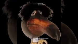 Предупреждение от Скебоба