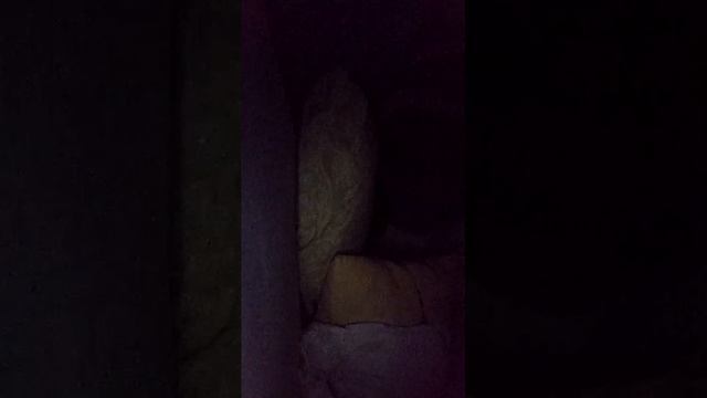 ночной стрим