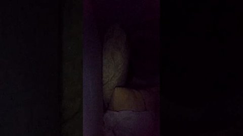 ночной стрим