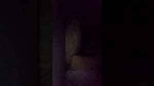 ночной стрим