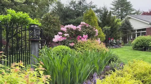 САДЫ США. ПРЕКРАСНЫЙ САД ПОД БОСТОНОМ ВОЗВРАЩЕНИЕ В ВЕСНУ МАЙ 7-10, 2025