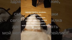 Текст шуточный и не надо принимать его в серьёз и удачи послушать песню
