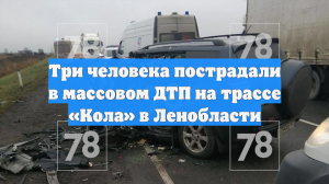 Три человека пострадали в массовом ДТП на трассе «Кола» в Ленобласти