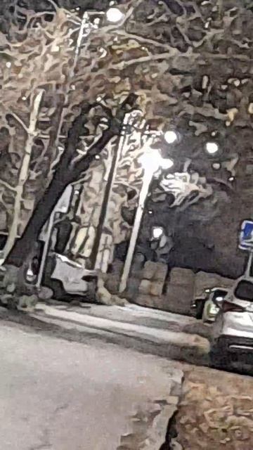 Гениальные люди