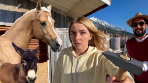 ТАКОЙ КРАСОТЫ НИКТО НЕ ОЖИДАЛ! Строю пол в помещении конюшни. Животным и мне теперь будет комфортно