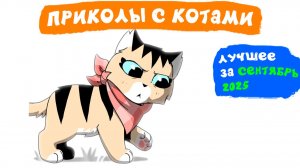 Приколы с котами. ЛУЧШЕЕ ЗА СЕНТЯБРЬ 2025 | Мемозг