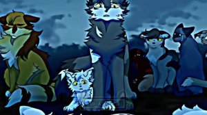 Коты воители/ Остролап/ Мап