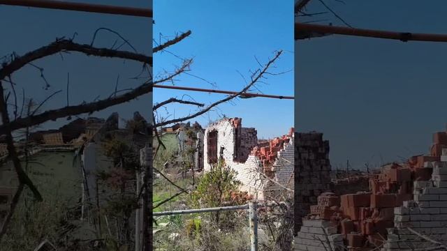 лесник.mp4 смотреть онлайн