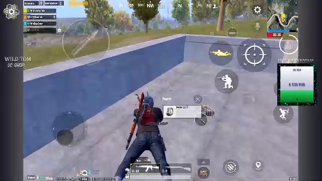 LIVE: WildTom_YouTube