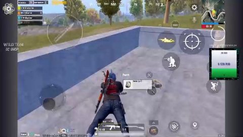 LIVE: WildTom_YouTube