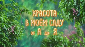 Красота в моём саду от А до Я