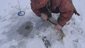 Зимний отдых...и пойманная щука.
