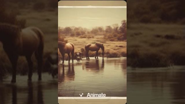 Александр Пушкин — Дон (вар2)