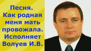 1338.6.В.Ю.ВИДЕО. Отличный Клип - Песня. Как родная меня мать провожала. Исполняет Волуев И.В.