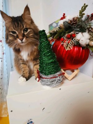 С новым годом