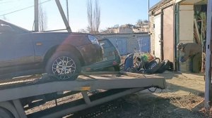 video5305251330388955293