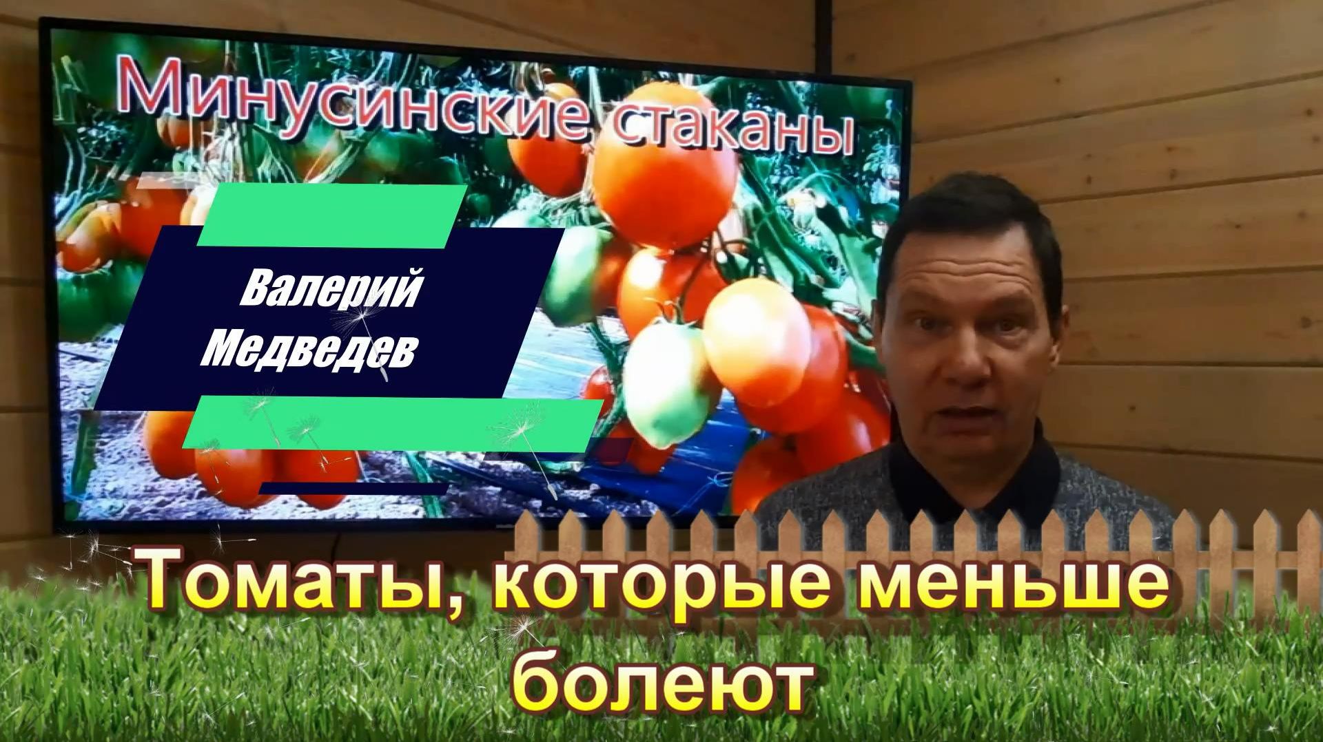 Томаты, которые меньше болеют