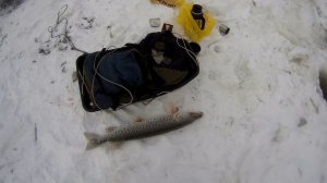 первая пятёрка