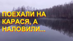 Поехали на живцового карася, а наловили...