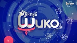 Клуб Шико. Выпуск от 06.12.25
