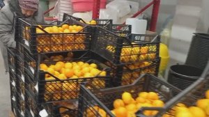 АЖИОТАЖ в _Светофоре_ Люди раскупают продукты Дешевле!