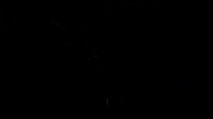 РМВ1003-20 Снежная ель (с веером) Батарея Салютов