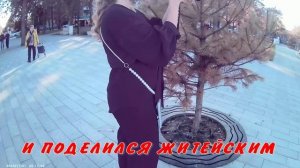 ЖДАЛА ВОПРОСА