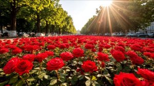 ЖИЛ-БЫЛ ХУДОЖНИК ОДИН...//АРМЯНСКАЯ ВЕРСИЯ//