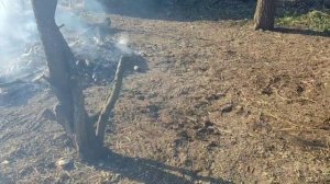 Участок 4 сот. СНТ Сапун- гора. Севастопот