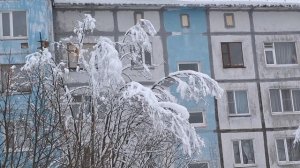 На Камчатке сегодня дожди...