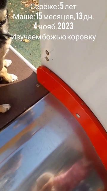 15 мес.,13 дн.Изучают божью коровку.(4 нояб.2023).mp4