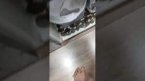 Делаем вечерние дела