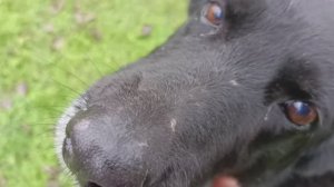 Херсонщина 6 декабря 2025 года