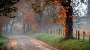 Chillout dubstep mix #3