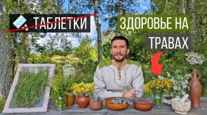 Травы для здоровья без таблеток: полный путь от А до Я