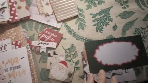 Влог / 05.12.2025 / Зеленая трава в декабре и снег