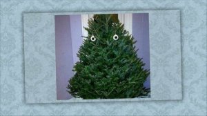 Идеи, для жизни ! (4)